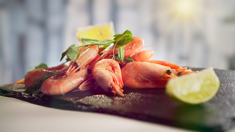 Billede af mad taget af Fotograf Rasmus Skarving