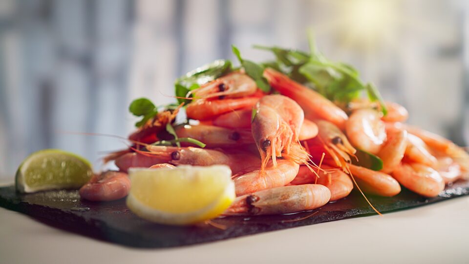 Billede af mad taget af Fotograf Rasmus Skarving